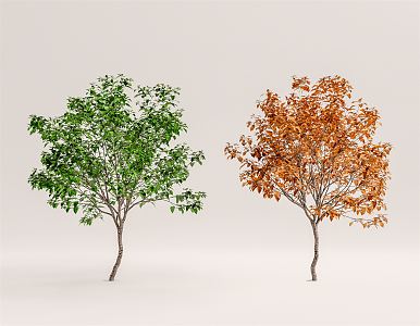 Modern Tree Landscape Tree 3d model