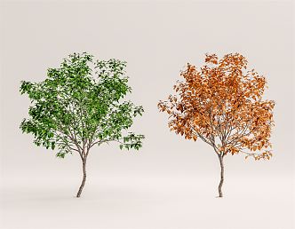 Modern Tree Landscape Tree 3d model