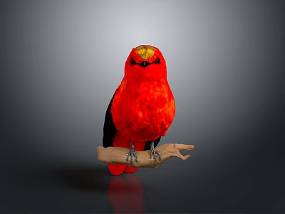 Vibrant Red Bird Perched on Natural Branch Against Gray Background 3d model
