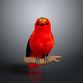 Vibrant Red Bird Perched on Natural Branch Against Gray Background