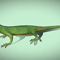 Green Lizard With Red Head Orange Body And Sharp Detailed Claws On Light Background 3d model