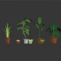 Various Potted Plants With Green Leaves And Decorative Pots For Home Decor