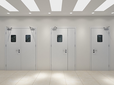 Fire Door Medical Fire Door 3d model