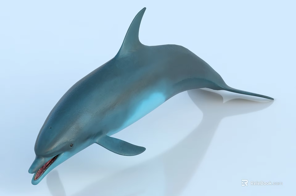 Realistic Blue Shiny Dolphin Marine Life Aquatic Animal Detailed Model 3d model 