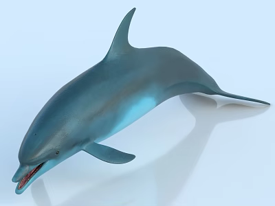 Realistic Blue Shiny Dolphin Marine Life Aquatic Animal Detailed Model 3d model
