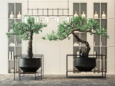 Bonsai Tree In Modern Interior With Black Planter Metal Stand And Lush Foliage 3d model