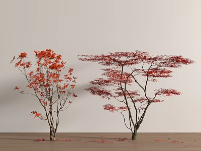 Two Red Leaf Arbor Trees with Fallen Leaves on Wooden Floor and Light Wall 3d model