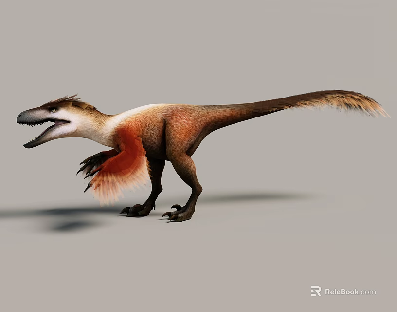 Feathered Reptile Dinosaur 3D Model With Brown And White Body Long Tail And Sharp Claws 3d model 