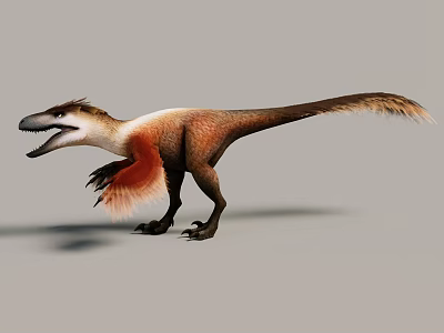 Feathered Reptile Dinosaur 3D Model With Brown And White Body Long Tail And Sharp Claws 3d model