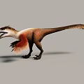 Feathered Reptile Dinosaur 3D Model With Brown And White Body Long Tail And Sharp Claws