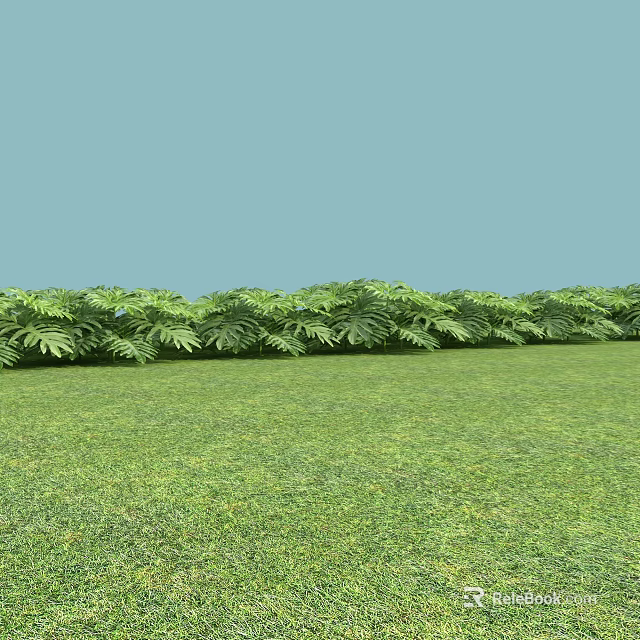 Lush Green Plants With Feathery Leaves On Vibrant Grassland And Blue Sky 3d model 
