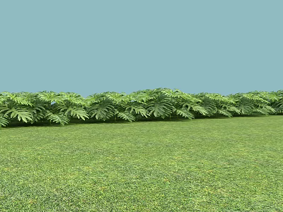 Lush Green Plants With Feathery Leaves On Vibrant Grassland And Blue Sky 3d model
