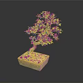 Bonsai Plant with Green Leaves in Square Ceramic Pot as Indoor Decorative Small Tree