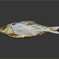 Whole Dried Fish With Golden Silver Color On Reflective Gray Surface