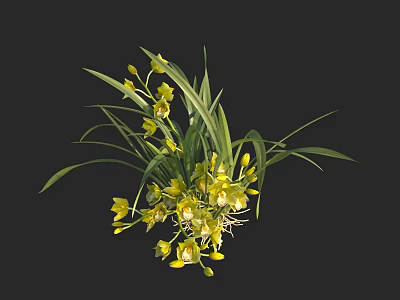 Fresh Blooming Yellow Orchids With Green Leaves In Natural Arrangement 3d model