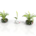 Green Leafy Decorative Potted Plants With Floral Accents And Stylish Planters