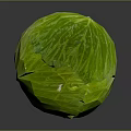 Fresh Green Cabbage With Crisp Wrinkled Leaves On Dark Reflective Surface