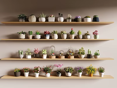 Various Bonsai Potted Plants on Multi Layered Wooden Shelves with Different Styles 3d model