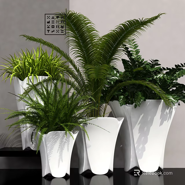 Modern Bonsai Potted Plants With Lush Green Ferns Palm Leaves And White Planters 3d model 