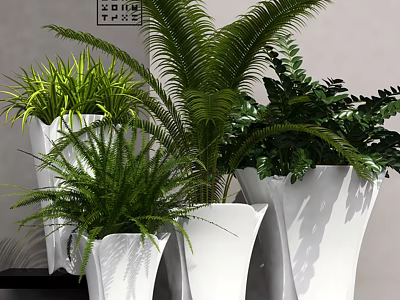 Modern Bonsai Potted Plants With Lush Green Ferns Palm Leaves And White Planters 3d model