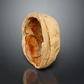 Close Up Open Walnut Showing Exposed Kernel And Natural Shell Texture 3d model