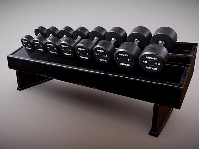 Black Troy Dumbbells with Different Weights on Black Fitness Equipment Rack 3d model