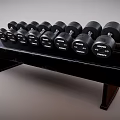 Black Troy Dumbbells with Different Weights on Black Fitness Equipment Rack