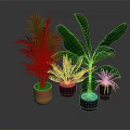 Vibrant Potted Tropical Plants With Large Green Leaves And Various Types In Orange Black Pots