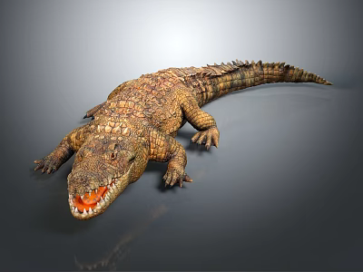 Realistic 3D Rendered Crocodile With Open Mouth On Grey Background And Shiny Reflection 3d model