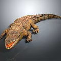 Realistic 3D Rendered Crocodile With Open Mouth On Grey Background And Shiny Reflection