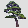 Diverse Plant Combination with Varied Tree Shapes for Garden Landscaping Design