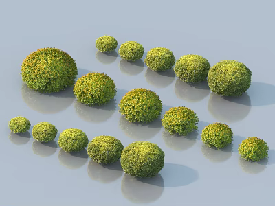 Round Green Bushes of Various Sizes Arranged in Natural Garden Landscape 3d model