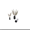 Decorative Ornament Combination With Colorful Vases Dried Beige Purple Plants For Home Decor