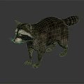Realistic Brown Raccoon With Striped Tail Standing On Smooth Gray Surface