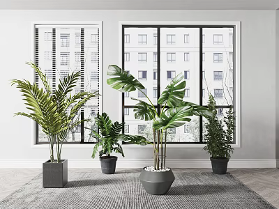 Indoor Potted Plants With Various Green Leaves And Modern Decorative Pots 3d model