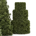 Green Plant Wall With Various Shaped Topiary Plants For Decorative Landscaping