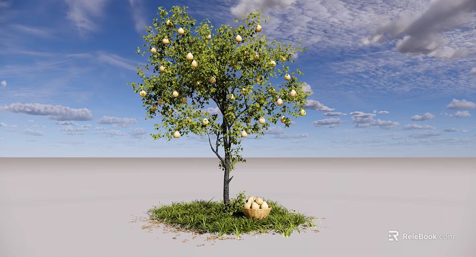 Fruit Tree With Fruits And Basket Of Fruits On Green Grass Under Blue Sky Clouds 3d model 
