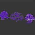 Three Decorative Trees White Green Purple with Foliage and Reflections on Dark Surface
