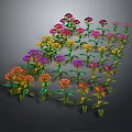 Colorful Flowers Red Yellow Purple Pink With Green Leaves In Wavy Pattern On Dark Background