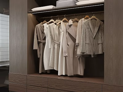 Neatly Arranged Neutral Toned Coats And Dresses In Modern Wooden Wardrobe With Drawers 3d model