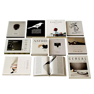 Modern Book Ornaments Book Magazine Desktop Ornaments 3d model