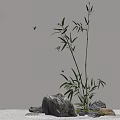 Graceful Bamboo Plant With Green Leaves And Dragonflies Near Stones Under Circular Light