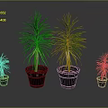 Indoor Green Leafy Dracaena Plants with Two Large and Two Small Black Pots