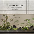 Indoor Natural Landscape with Green Plants Ferns and Stones Against Tile Wall with Text