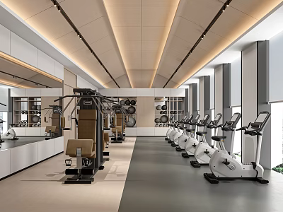 Modern Gym Interior With Various Fitness Equipment 3d model