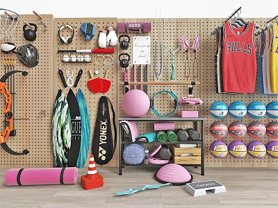 Sports Equipment Collection With Basketballs Yoga Mats Dumbbells Surfboards Sportswear Hula Hoops And Fitness Balls 3d model