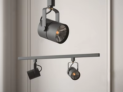 Modern Black Track Mounted Downlights And Spotlights For Interior Lighting Design 3d model