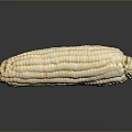 Fresh White Corn Cob on Black Background with Clear Reflection