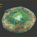 Delicious Italian Style Pizza With Fresh Tomato Mozzarella Spinach And Crispy Baked Crust