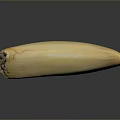 Cream Colored Ivory Sculpture With Natural Texture And Smooth Surface Carving